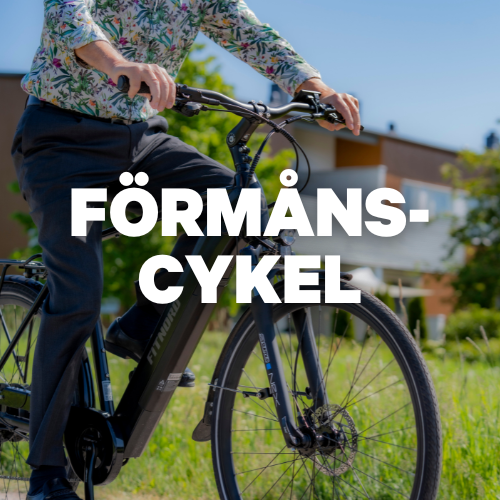 formanscykel